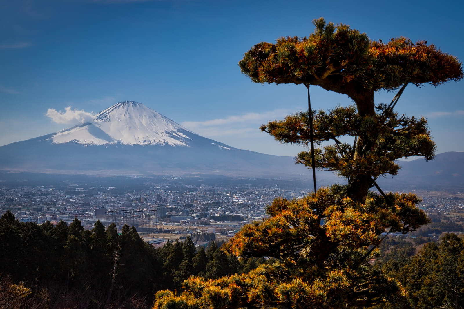 Gotemba