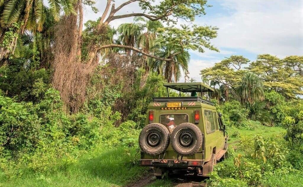 阿卡蓋拉國家公園<br> Akagera National Park