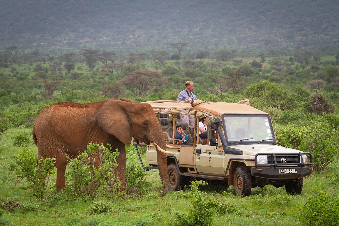 Elephant Bedroom Camp6