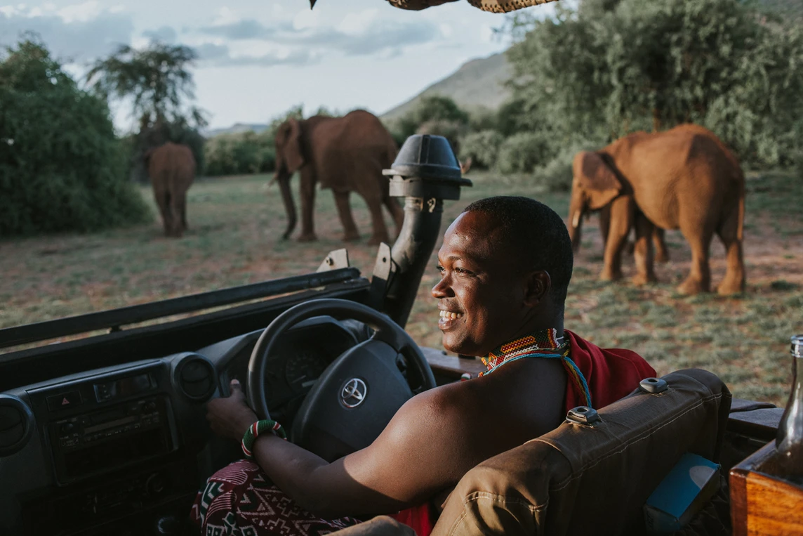 Elephant Bedroom Camp8