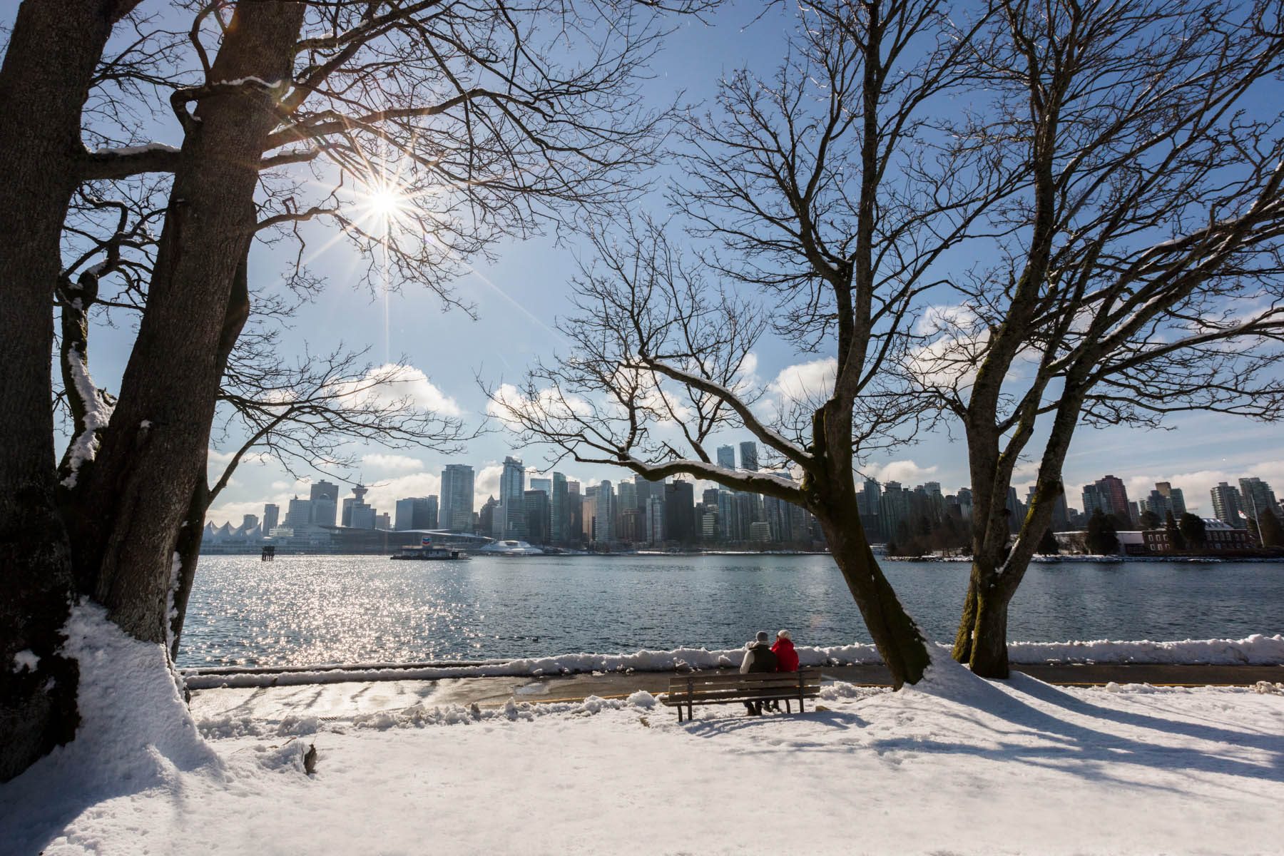 Fresh snow in Stanley Park - VR Vancouver - Vancouver Virtual Re