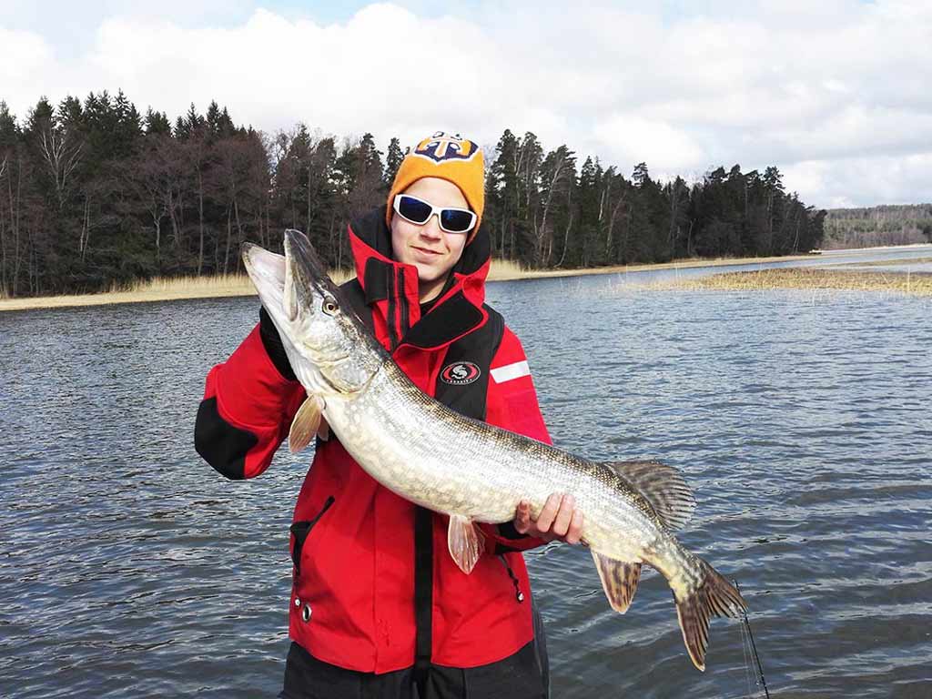 Northern-Pike-fishing-Finland