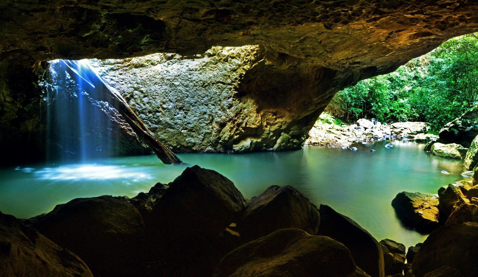 春溪國家公園Springbrook National Park