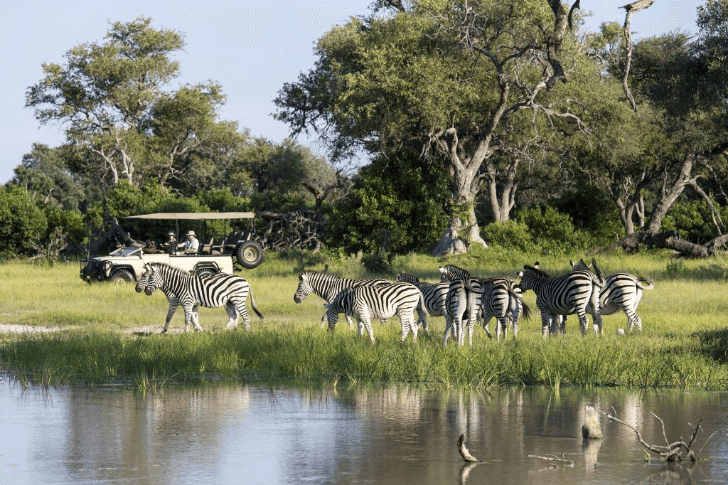 Wilderness Vumbura Plains