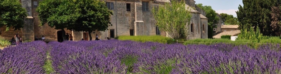 Saint Paul de Mausole Monastery-01 (1)