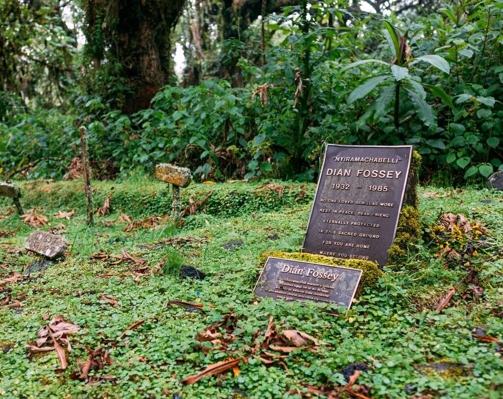 戴安·弗西墓 Dian Fossey Grave