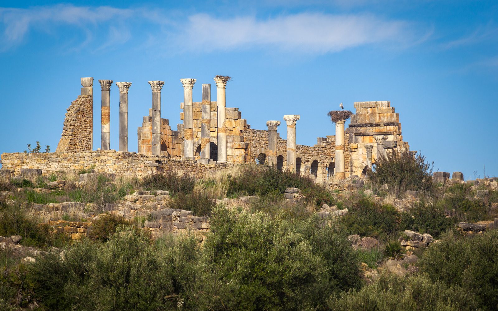 Volubilis