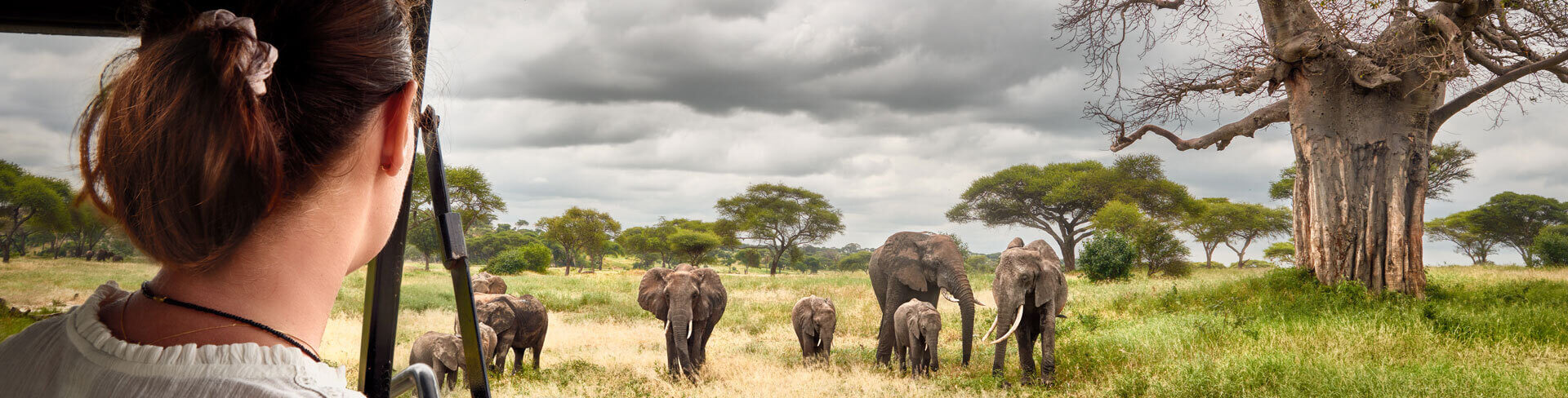 african_safari (1)