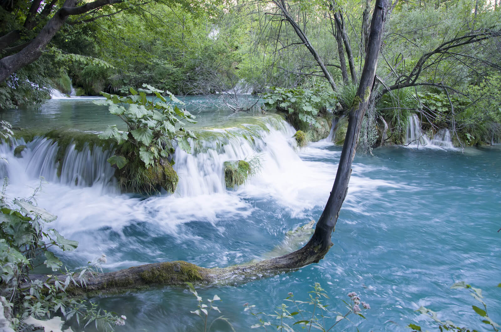 Plitvice lakes national park