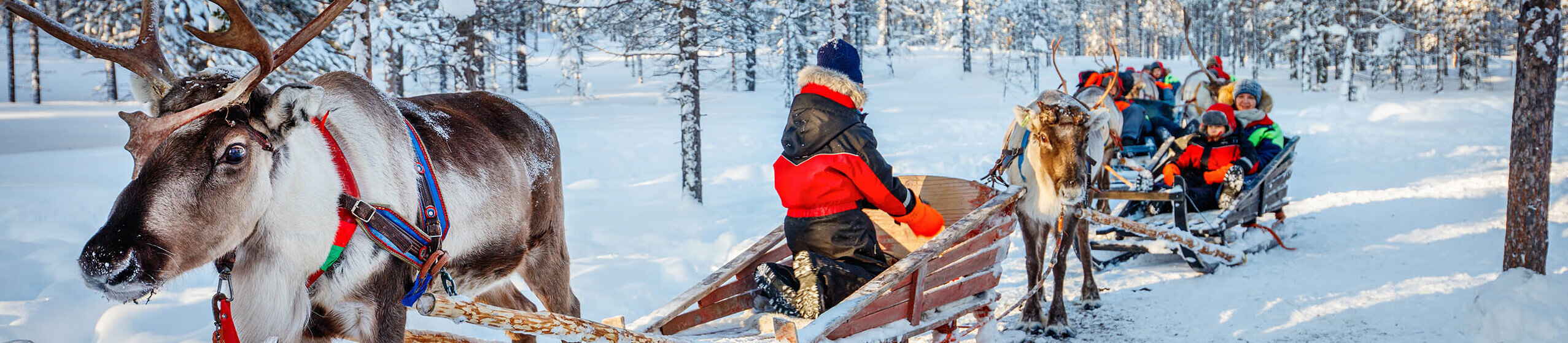 Family,With,Kids,At,Reindeer,Safari,In,Winter,Forest,In