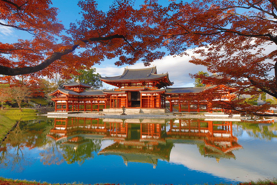 宇治平等院 賞楓