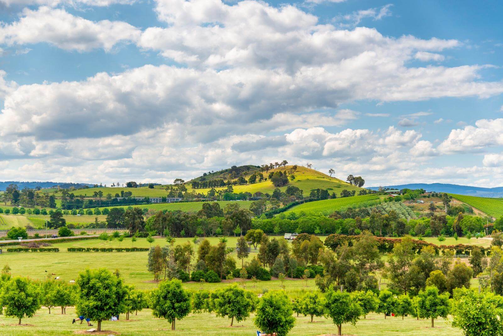 雅拉河谷Yarra Valley