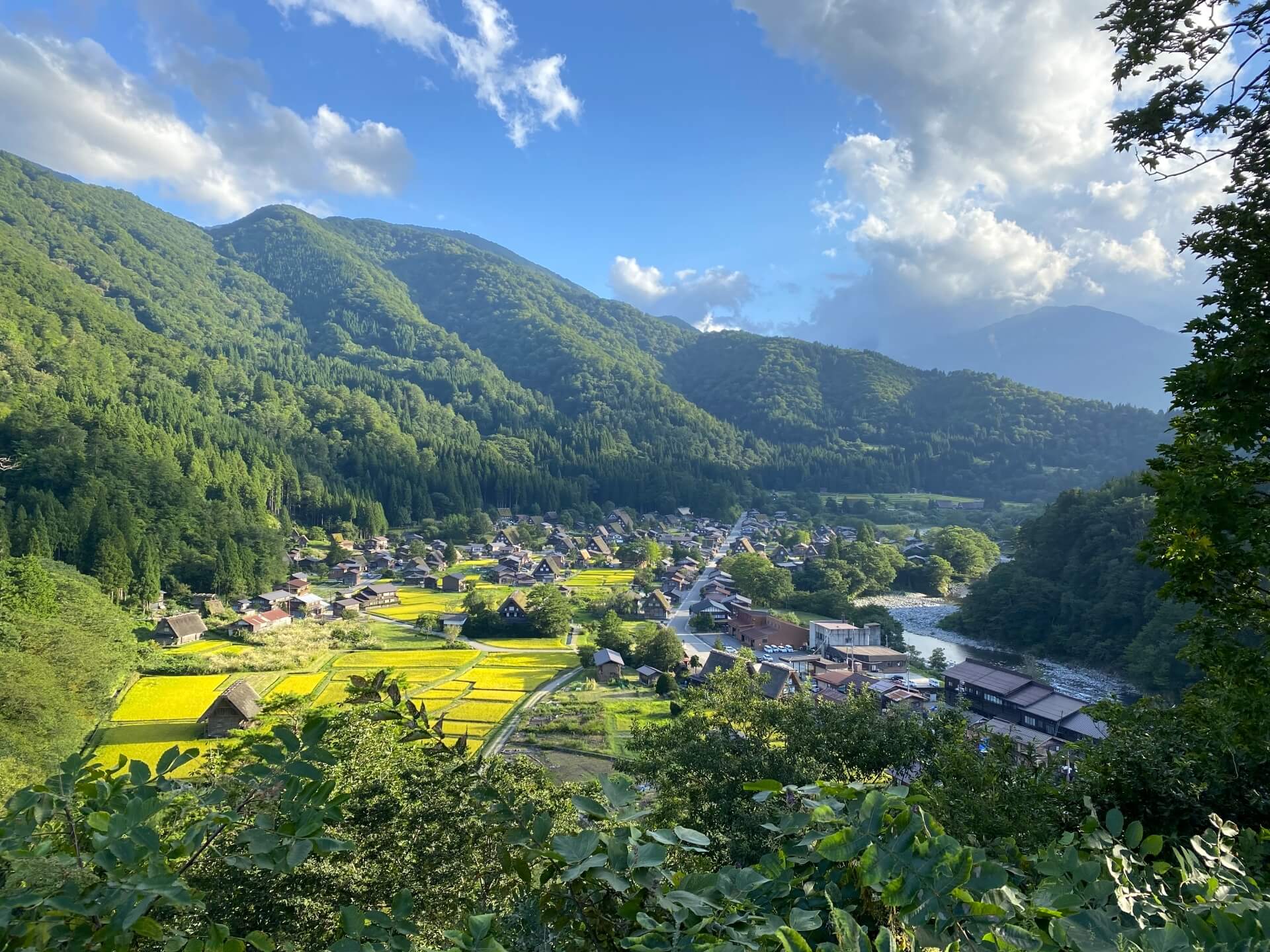 白川村 夏