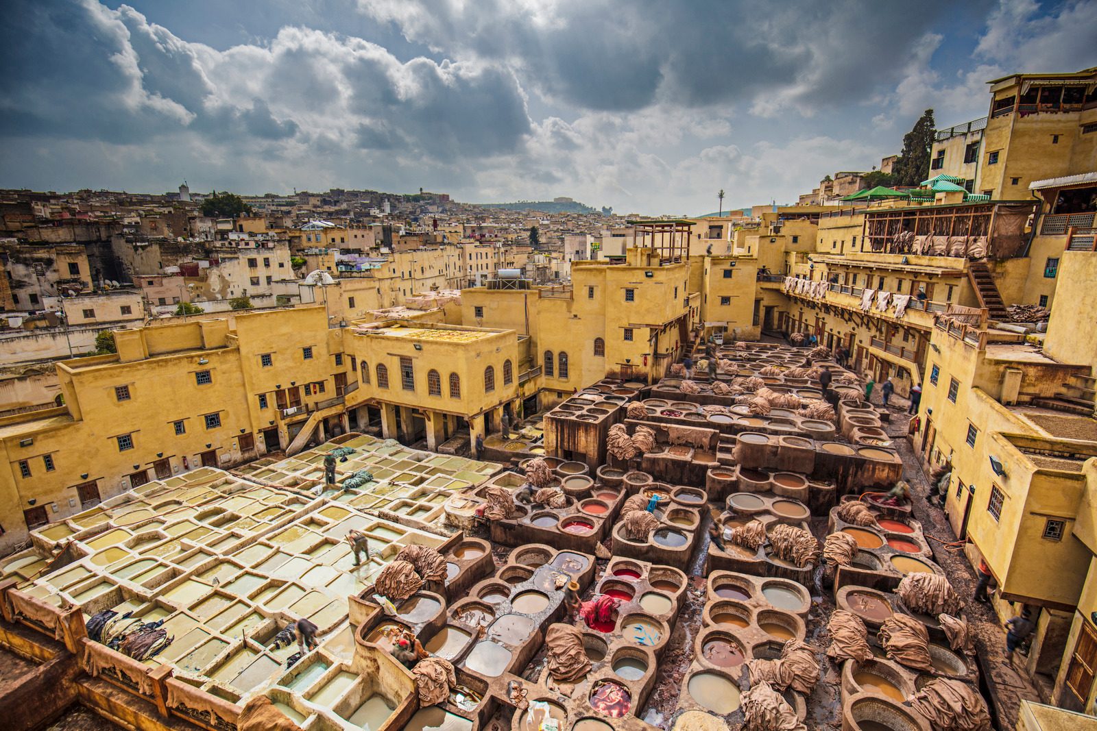 Fez Tannery