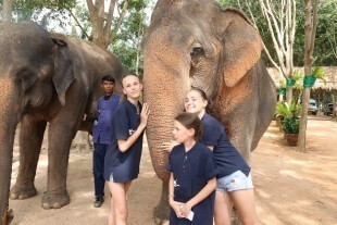 Samui Elephant Home