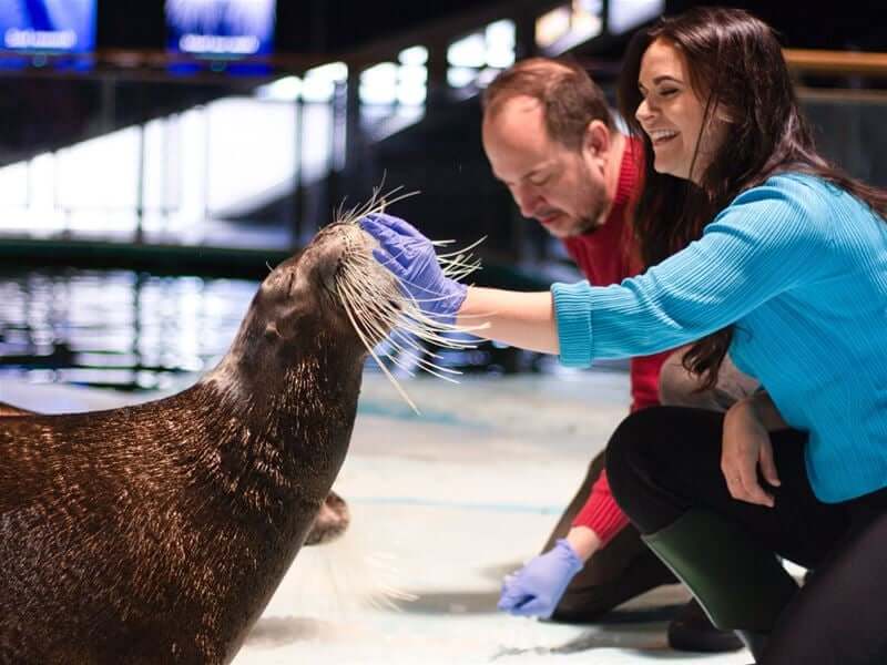 Polaria 水族館