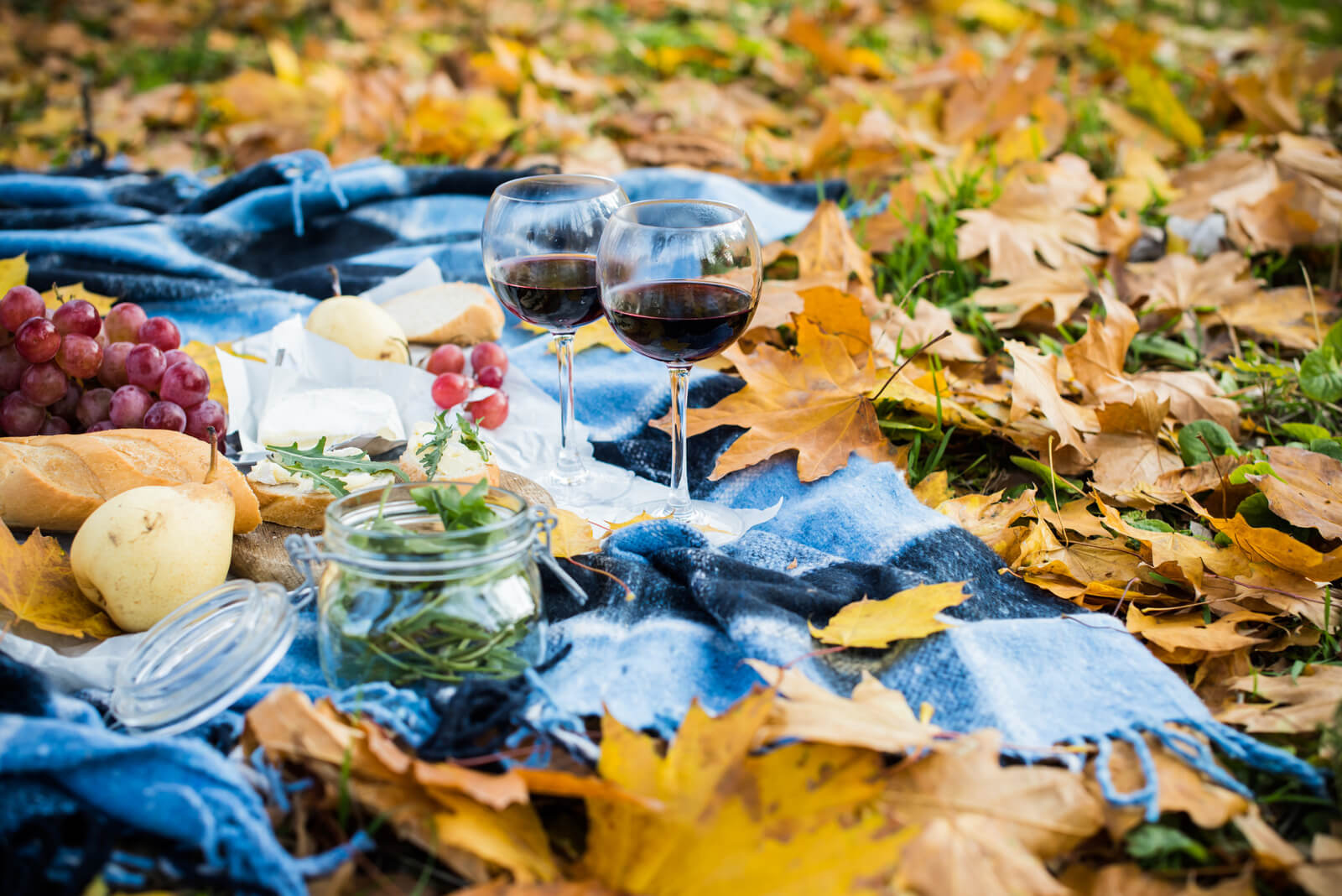 cozy autumn picnic