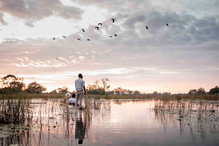 Wilderness Vumbura Plains 活動4