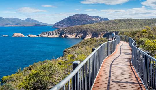 Freycinet