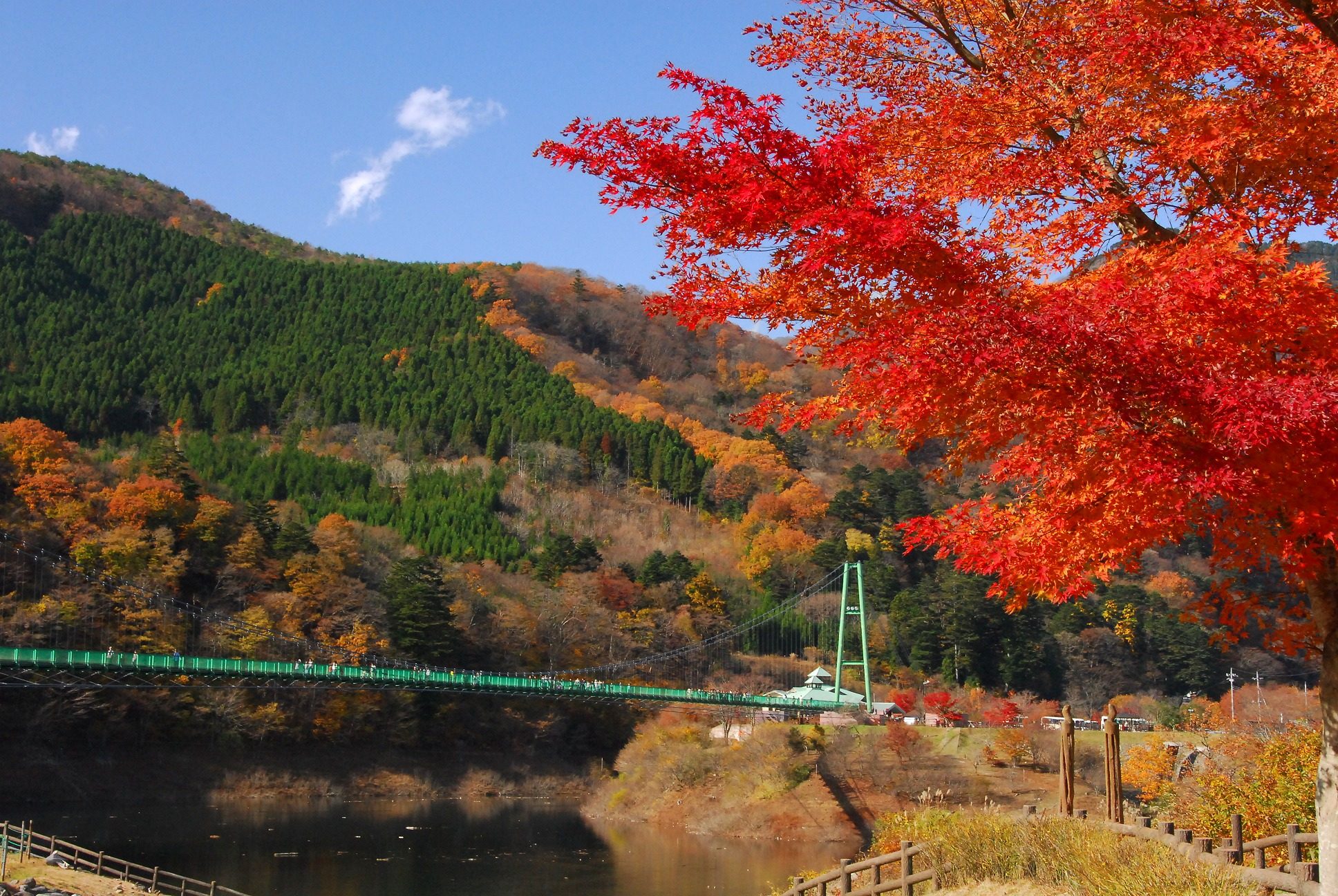 紅葉谷大吊橋