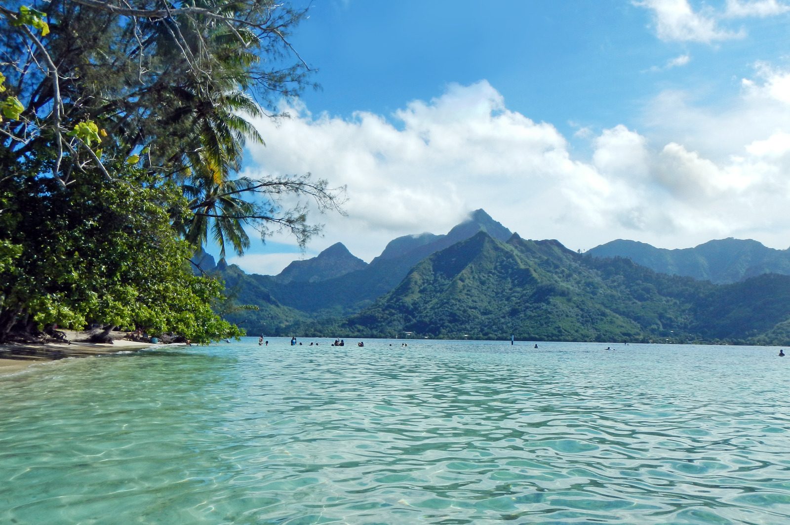 Moorea Opunohu Bay