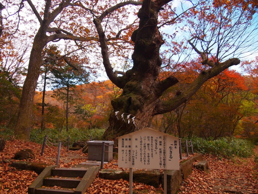 那須溫泉神社