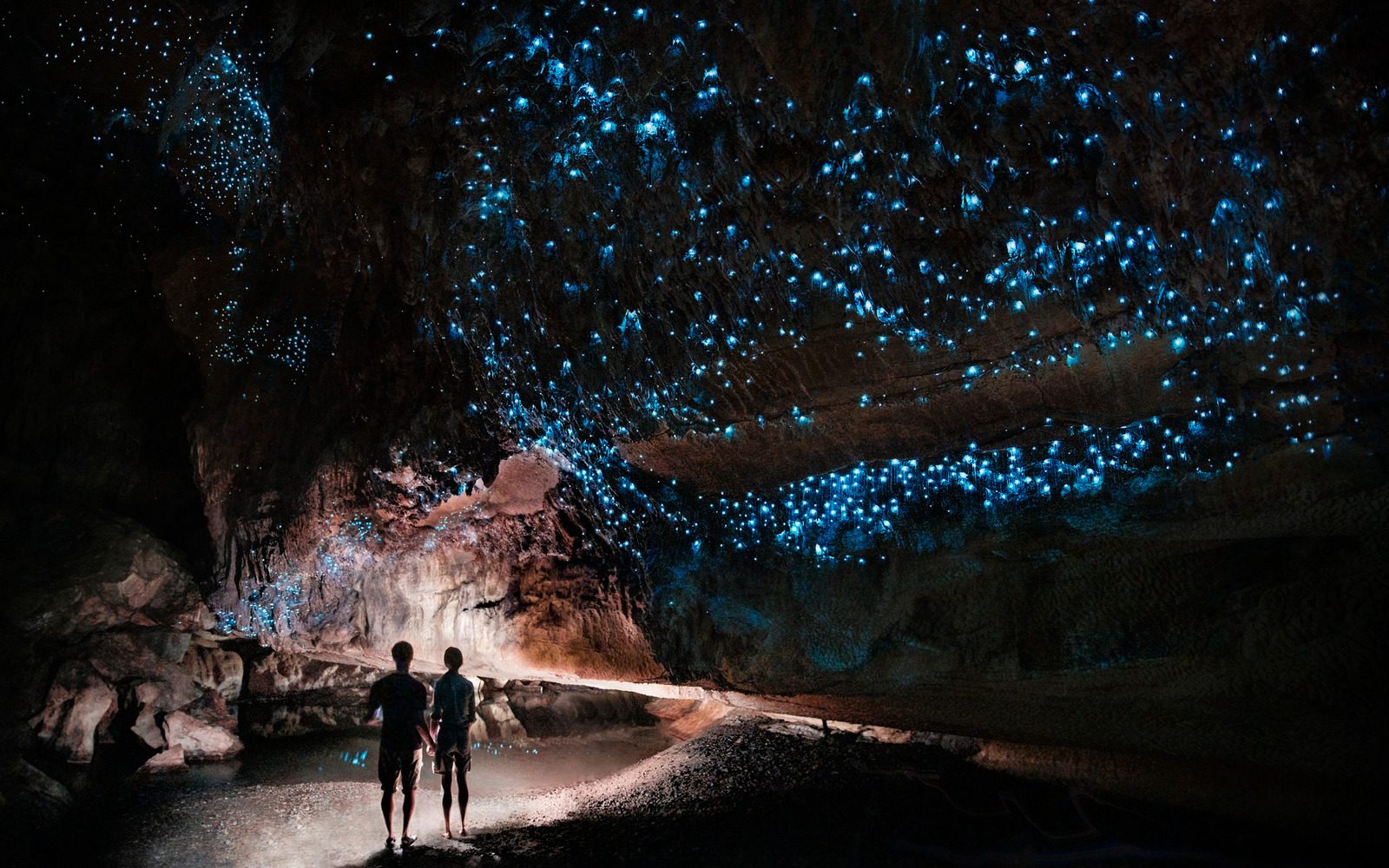 Under a glow worm sky - couple shining a light into Waipu cave filled will glow worms