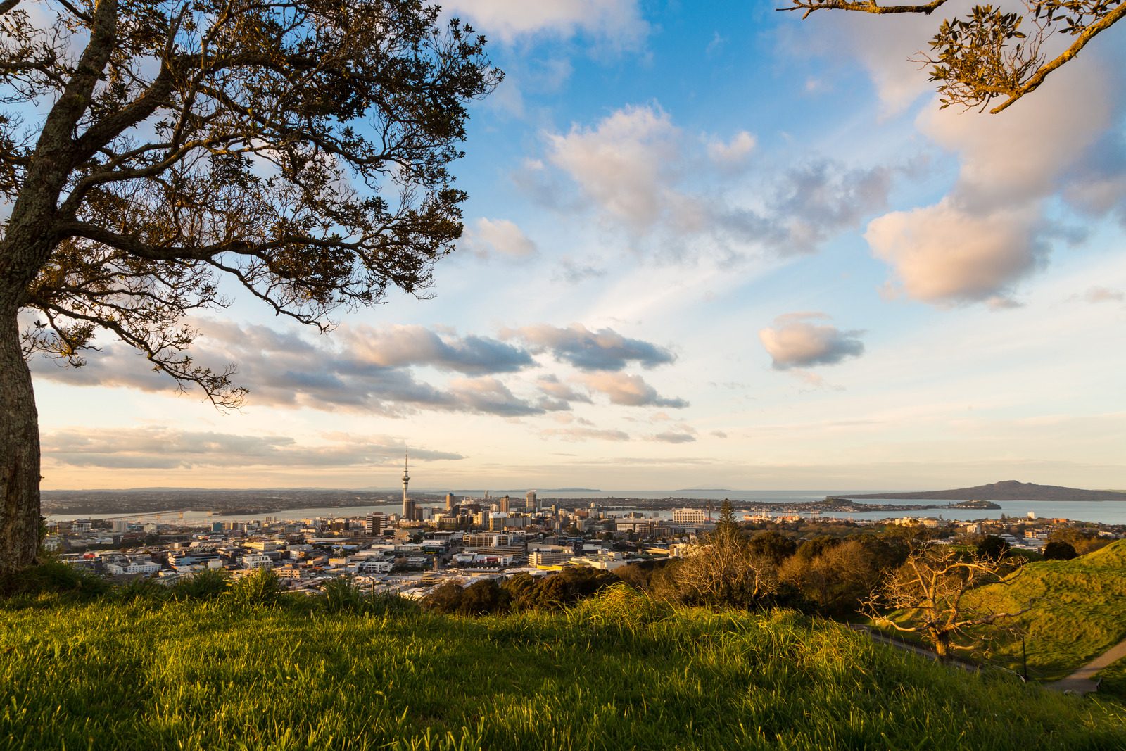 Auckland City from Mount Eden