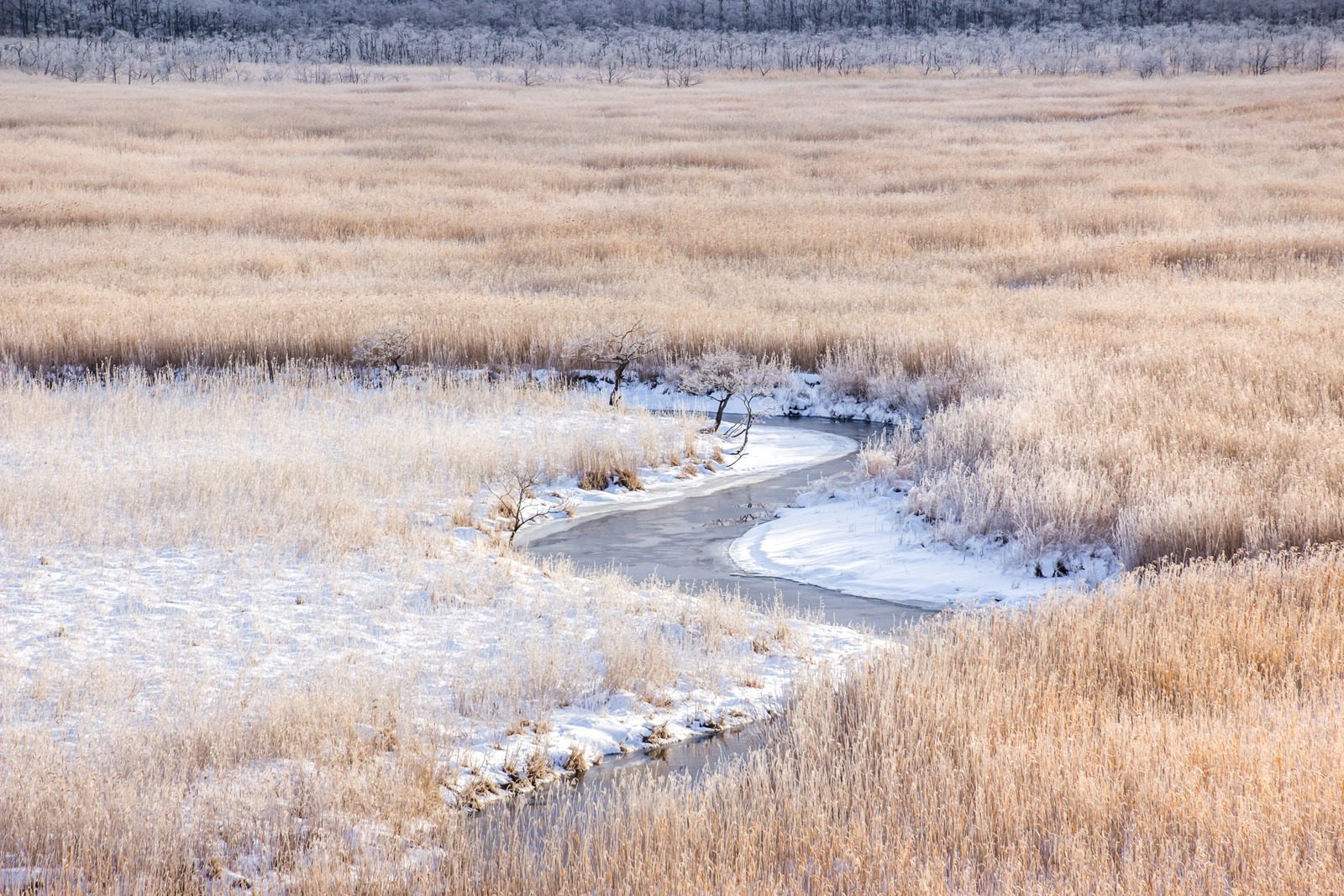 Kushiro Shitsugen National Park