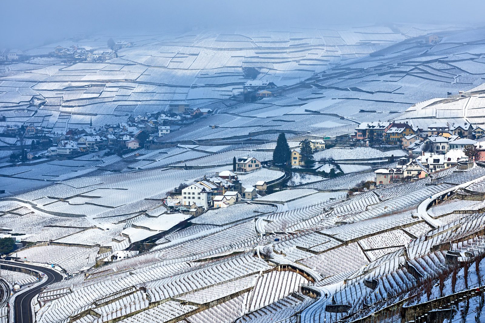 Lavaux Vineyards at Winter Sunrise, Switzerland