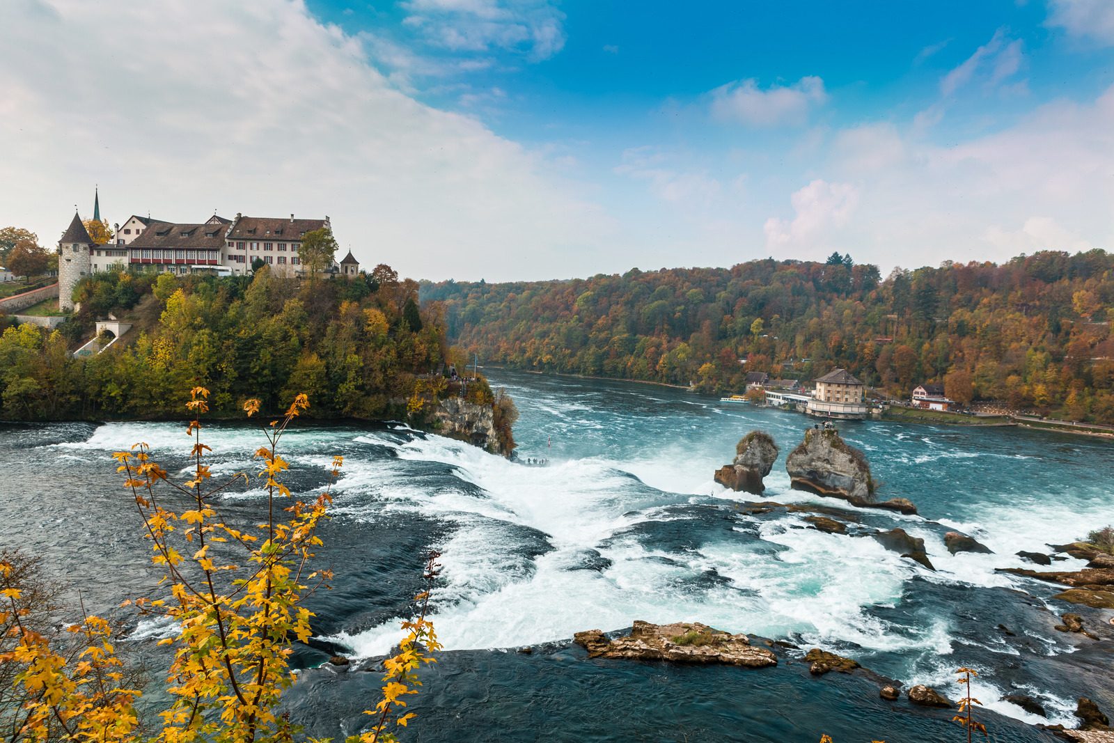 Rhine Falls